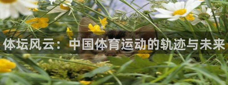 意昂2凯捷注册：体坛风云：中国体育运动的轨迹与未来