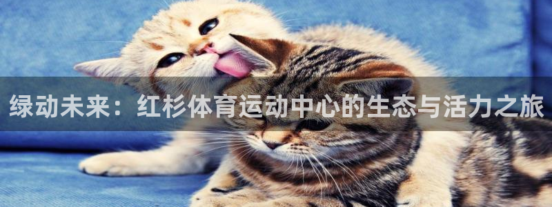 意昂2体育1招商：绿动未来：红杉体育运动中心的生态与活力之旅