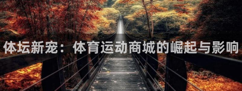 意昂体育注册代理：体坛新宠：体育运动商城的崛起与影响