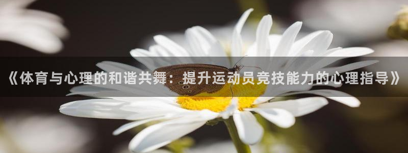 意昂4开户：《体育与心理的和谐共舞：提升运动员竞技能力的心理指导》
