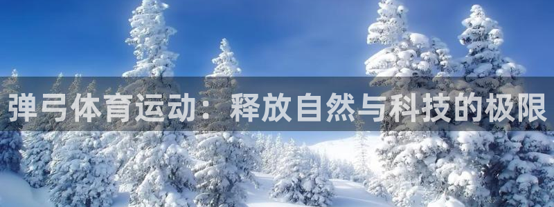 意昂2体育注册代理：弹弓体育运动：释放自然与科技的极限
