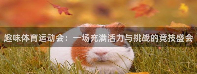 意昂新能源汽车科技有限公司：趣味体育运动会：一场充满活力与挑战的竞技盛会