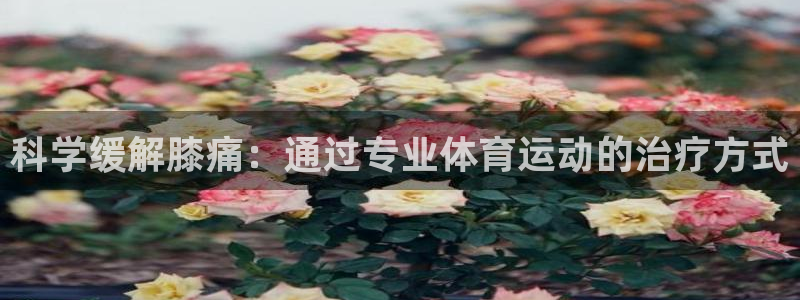 意昂23官网：科学缓解膝痛：通过专业体育运动的治疗方式
