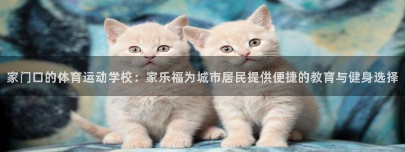 意昂3平台登录注册：家门口的体育运动学校：家乐福为城市居民提供便捷的教育与健身选