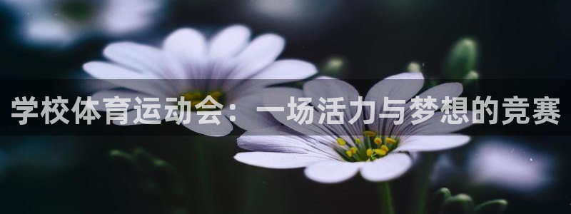意昂2体育2：学校体育运动会：一场活力与梦想的竞赛