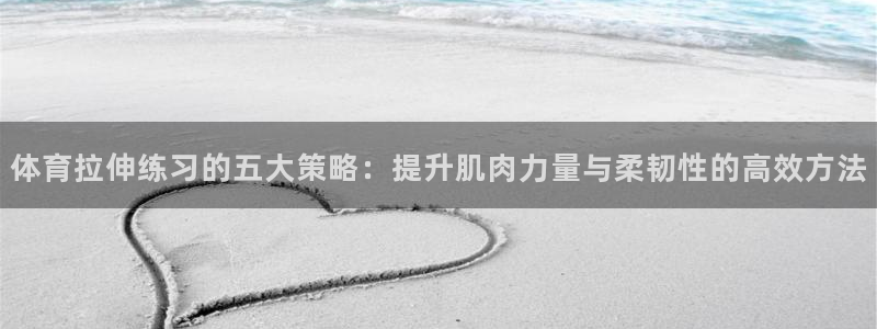 意昂23官网登录：体育拉伸练习的五大策略：提升肌肉力量与柔韧性的高效方法
