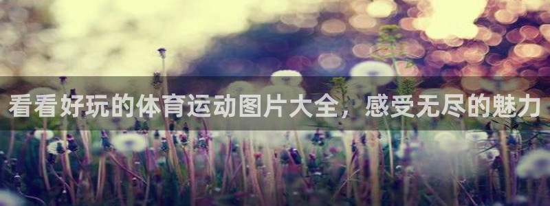 意昂注册：看看好玩的体育运动图片大全，感受无尽的魅力
