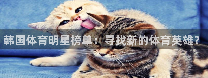 意昂25：韩国体育明星榜单：寻找新的体育英雄？