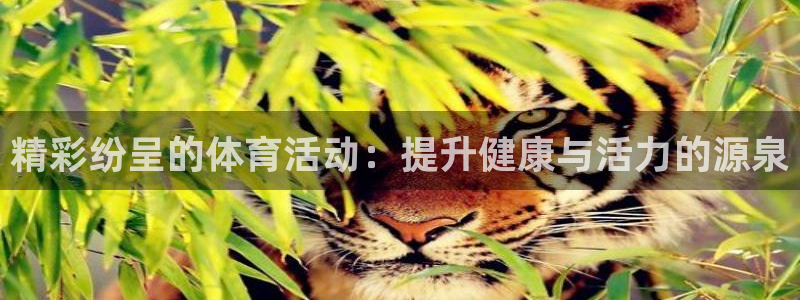 意昂2主管：精彩纷呈的体育活动：提升健康与活力的源泉