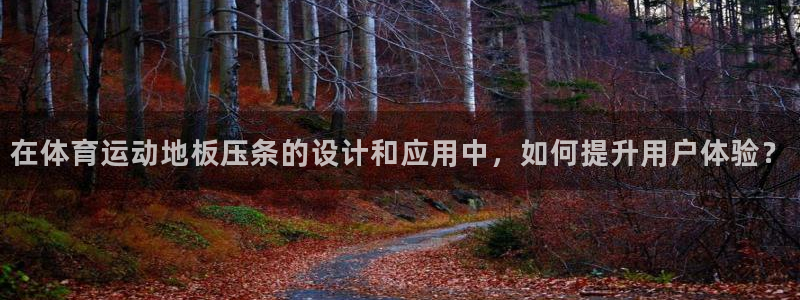佛山市南海意昂2机电仪器有限公司：在体育运动地板压条的设计和应用中，如何提升用户