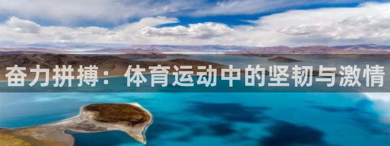 成都意昂2电子有限公司：奋力拼搏：体育运动中的坚韧与激情