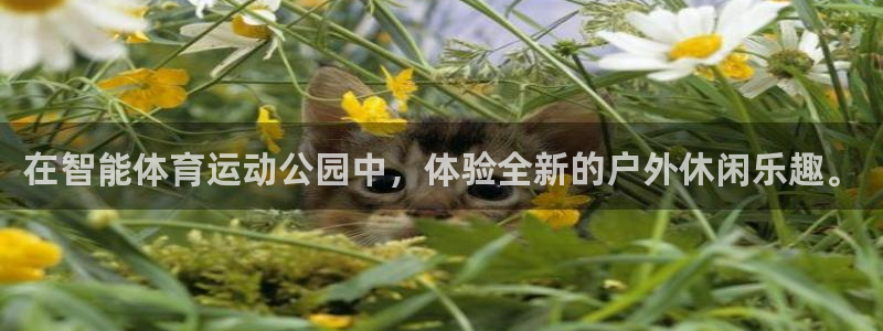 意昂2平台登录：在智能体育运动公园中，体验全新的户外休闲乐趣。
